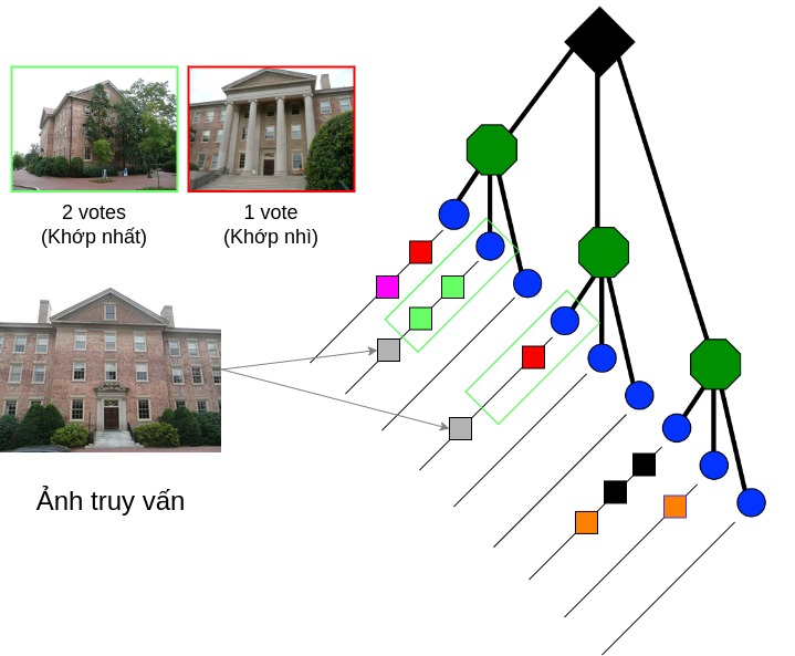 Hình 9: Hình miêu tả cách tìm các hình trung khớp với ảnh truy vấn sử dụng Vocabulary Tree.